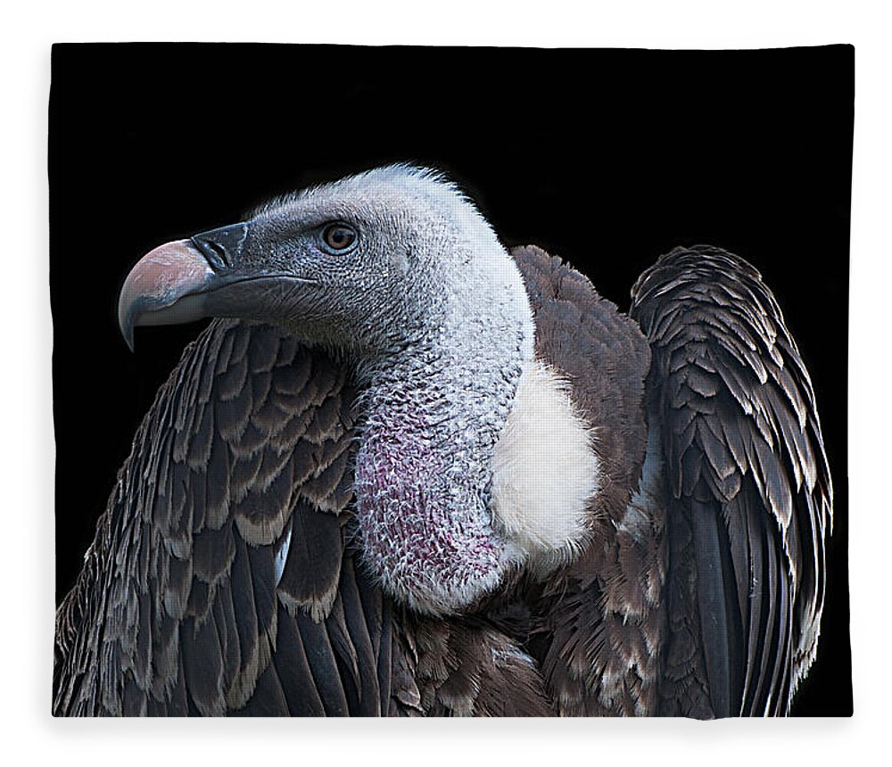 Ruppel's Fleece Blanket featuring the photograph Ruppel's Griffon on Black by Photos By Cassandra