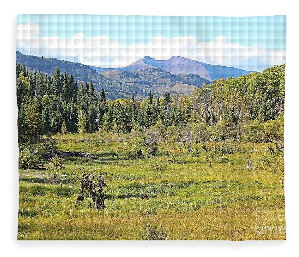Saddle Mountain Fleece Blanket featuring the photograph Saddle Mountain by Ann E Robson