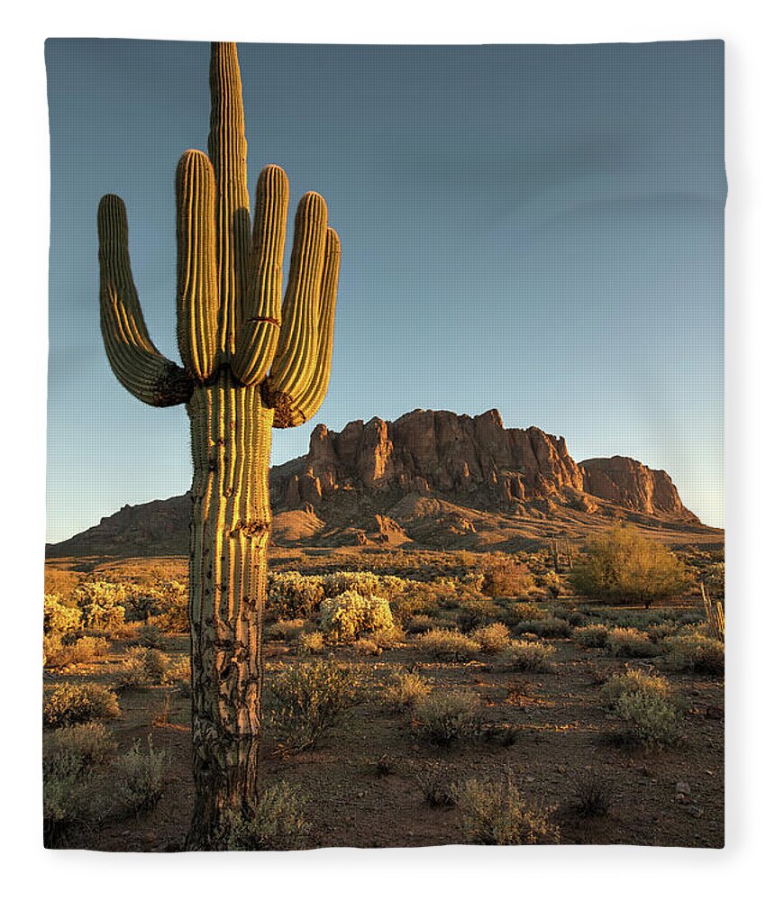 Saguaro Cactus Fleece Blanket featuring the photograph Saguaro Cactus And Superstition by Kjschoen
