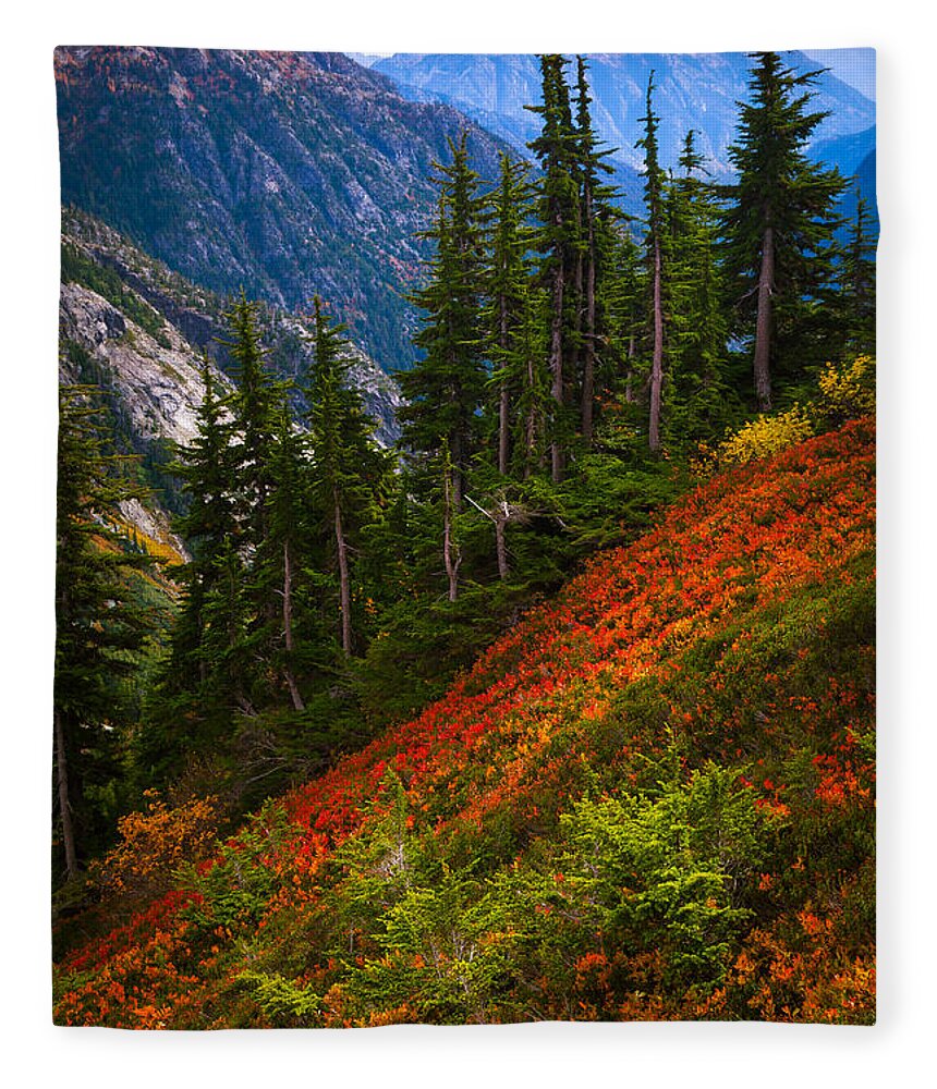 America Fleece Blanket featuring the photograph Sahale Arm by Inge Johnsson