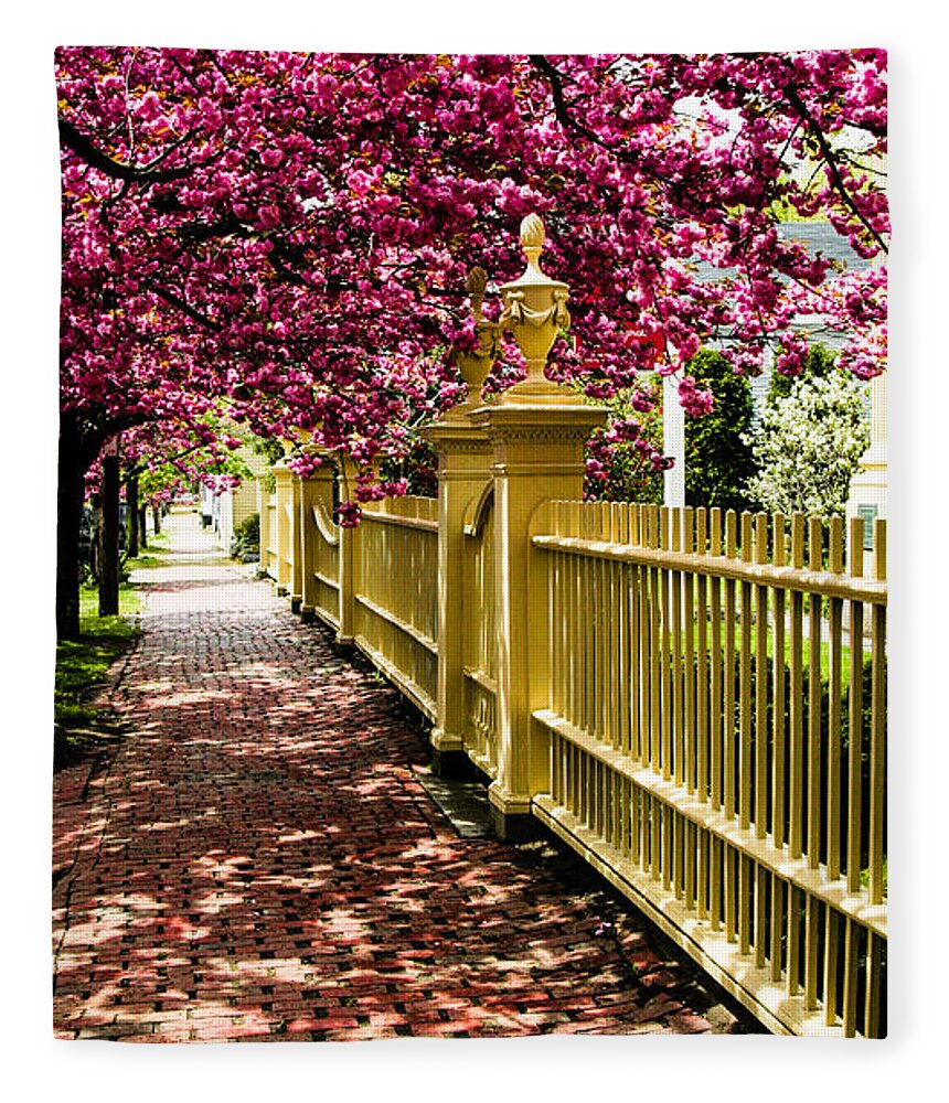 Salem Fleece Blanket featuring the photograph Salem walkway shrouded by spring flowers by Jeff Folger