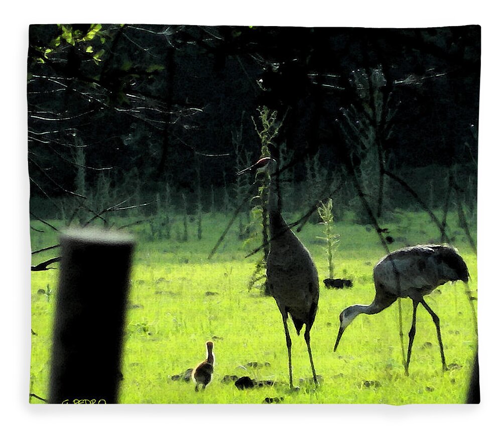 Sandhill Fleece Blanket featuring the painting Sandhill Cranes and the First Chick of Spring by George Pedro