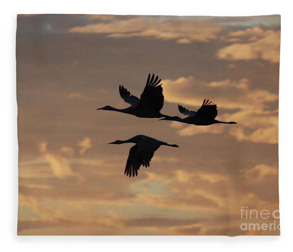 Sandhill Cranes Fleece Blanket featuring the photograph Sandhill Cranes No. 1 by John Greco