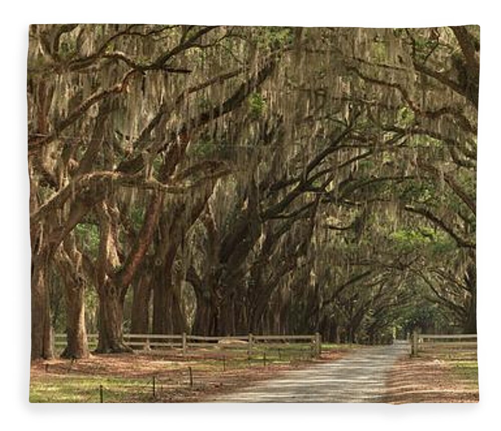Avenue Of The Oaks Fleece Blanket featuring the photograph Savannah Avenue Of The Oaks Panorama by Adam Jewell