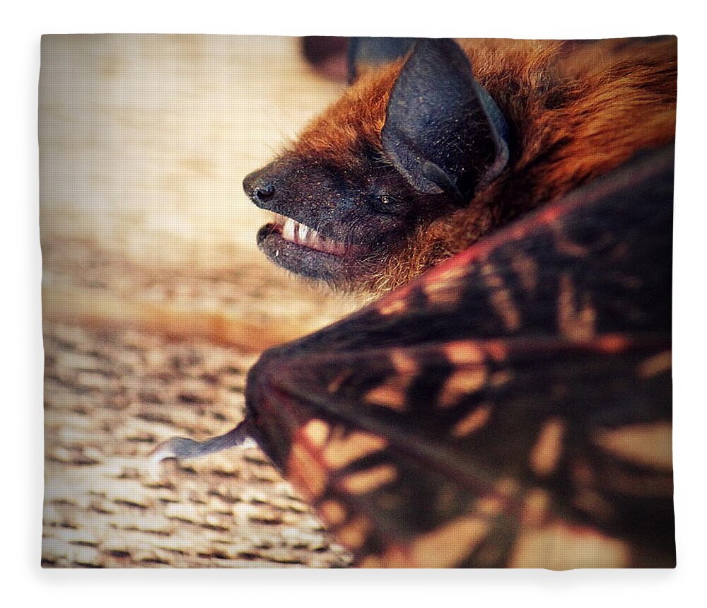 Bat Fleece Blanket featuring the photograph Say Cheese by Melanie Lankford Photography
