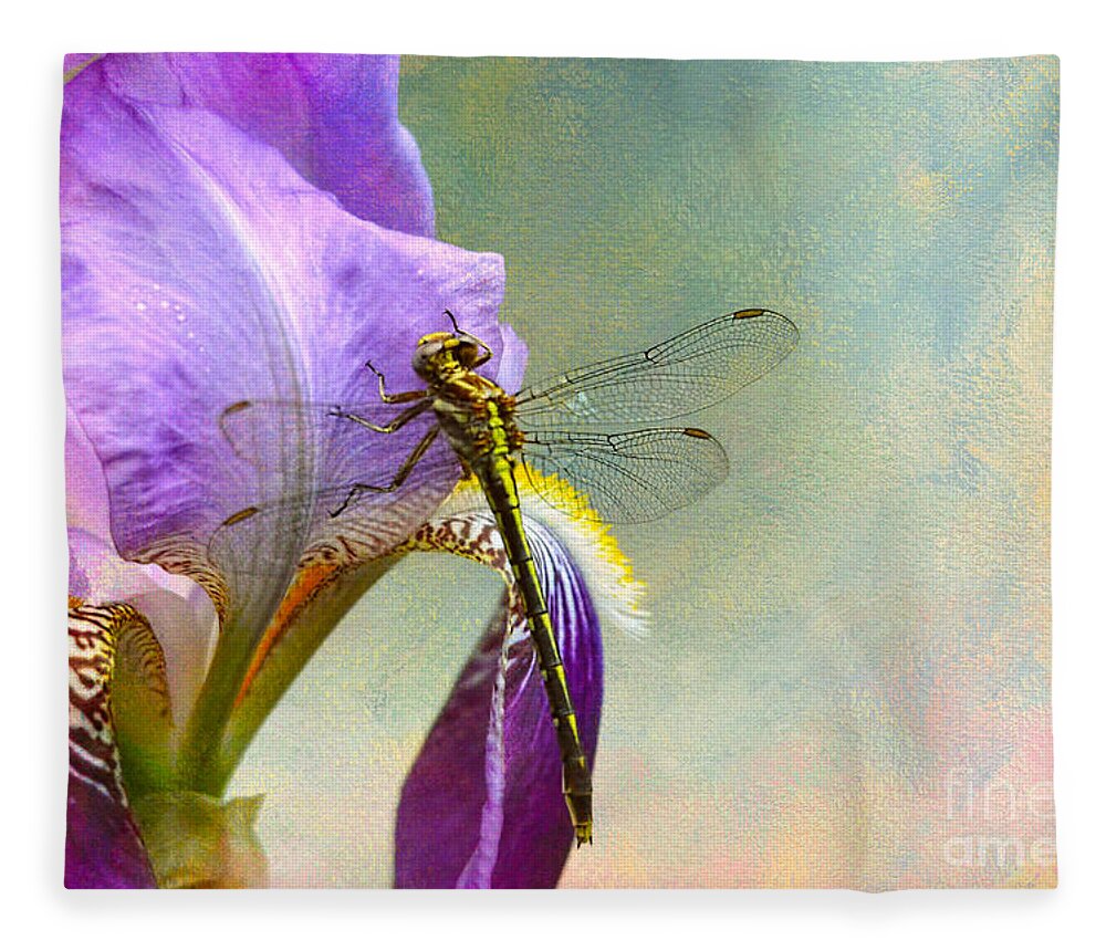 Iris Germanica Fleece Blanket featuring the photograph Say Hello To Spring by Jai Johnson