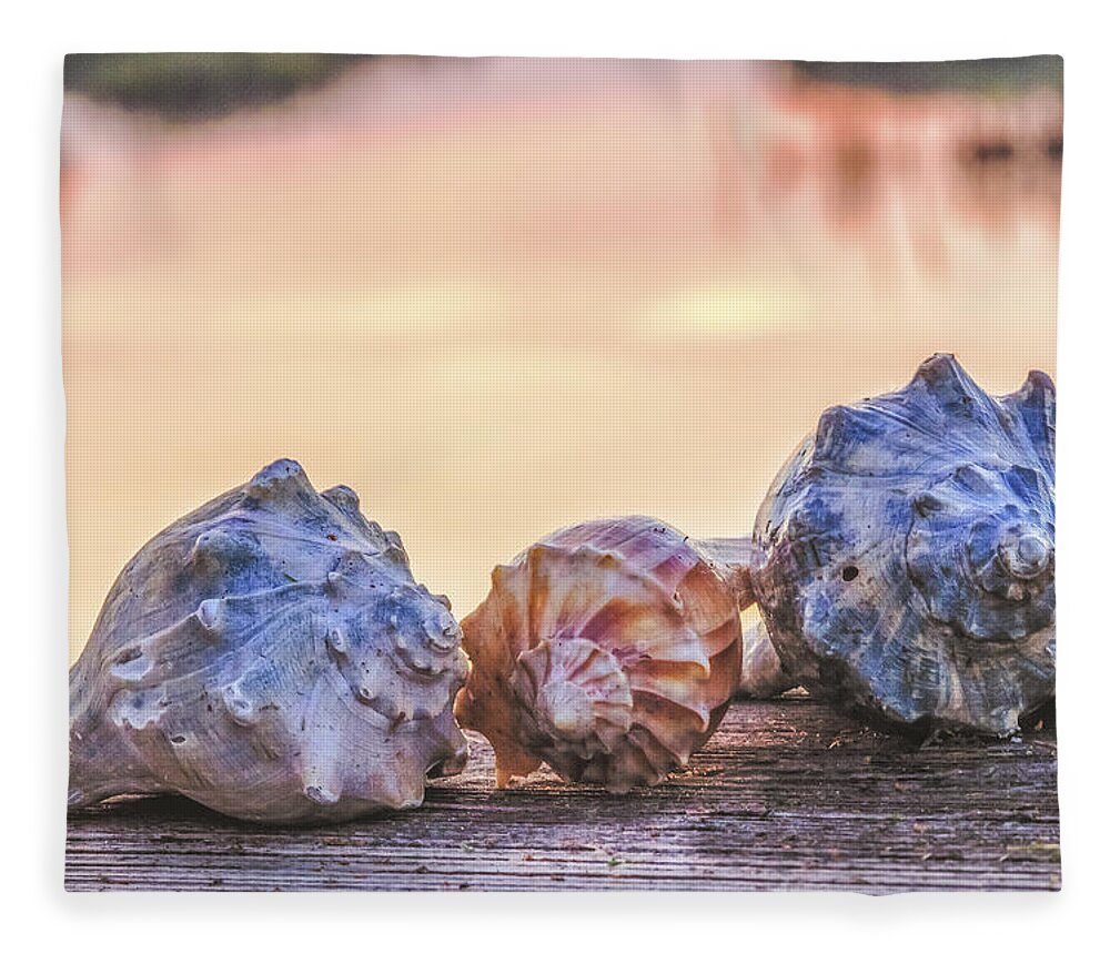 Shell Fleece Blanket featuring the photograph Sea Shells Image Art by Jo Ann Tomaselli