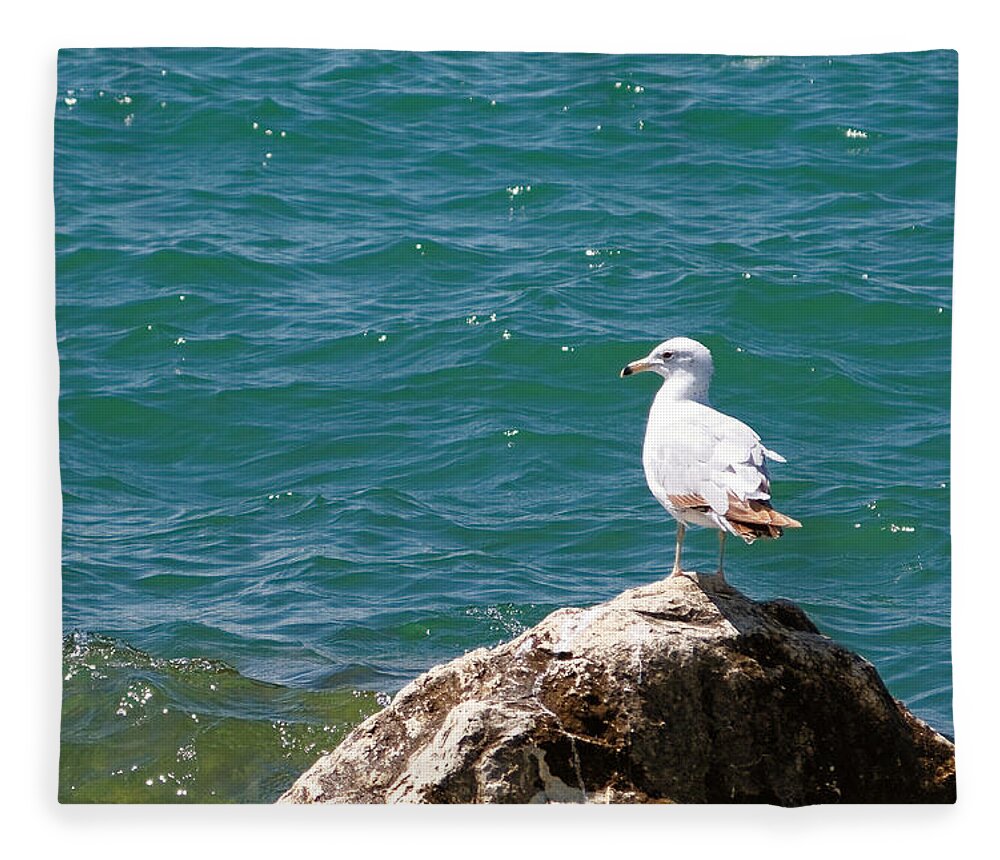 Michigan Fleece Blanket featuring the photograph Seagull on Rock by Lars Lentz