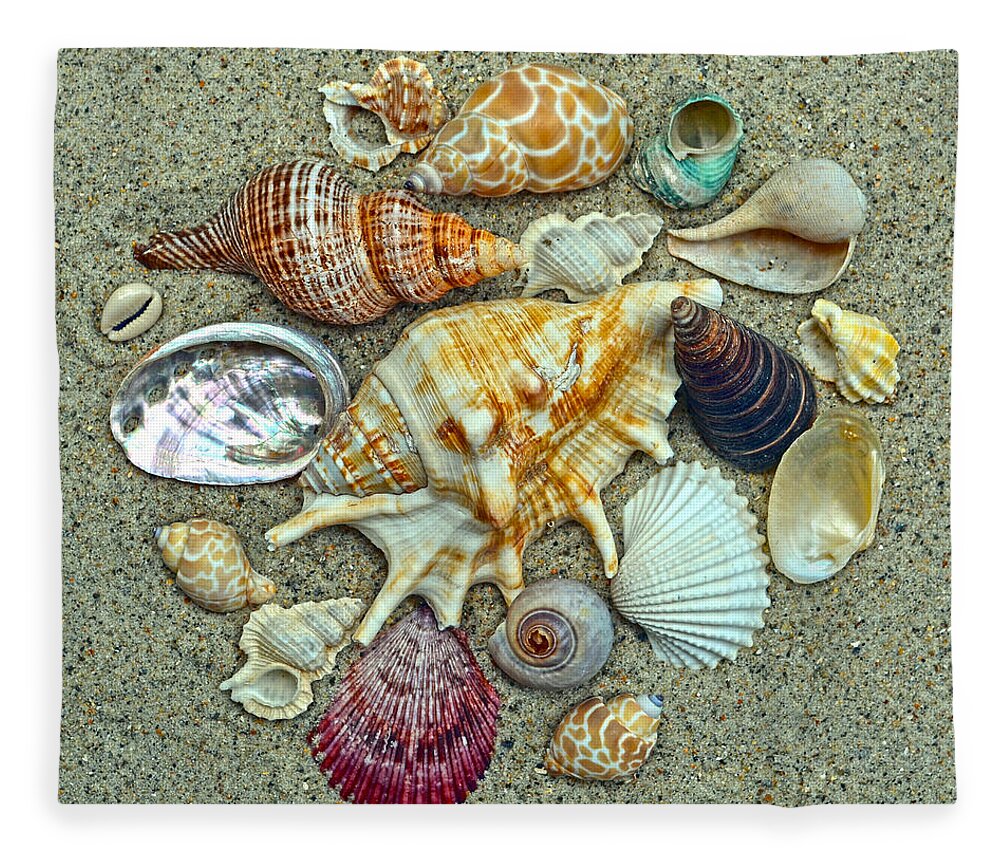 Seashells Fleece Blanket featuring the photograph Seashells Collection by Sandi OReilly