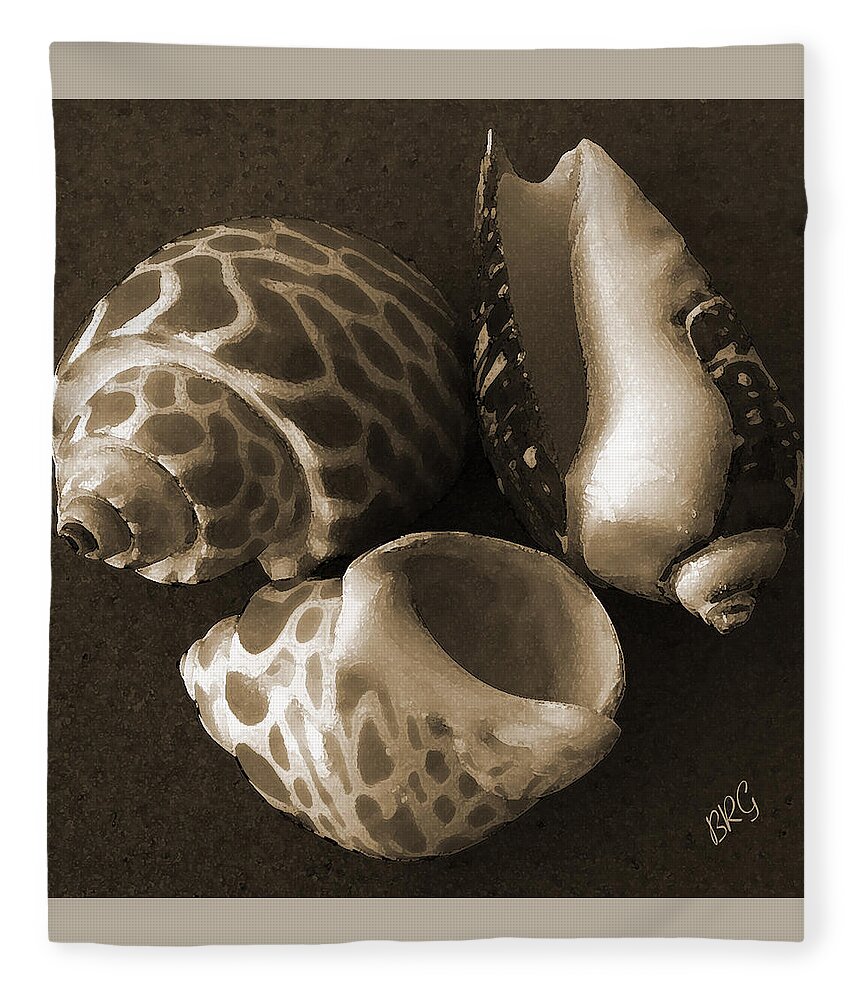 Seashell Fleece Blanket featuring the photograph Seashells Spectacular No 1 by Ben and Raisa Gertsberg
