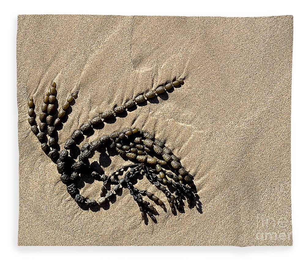 Seaweed Fleece Blanket featuring the photograph Seaweed on beach by Steven Ralser