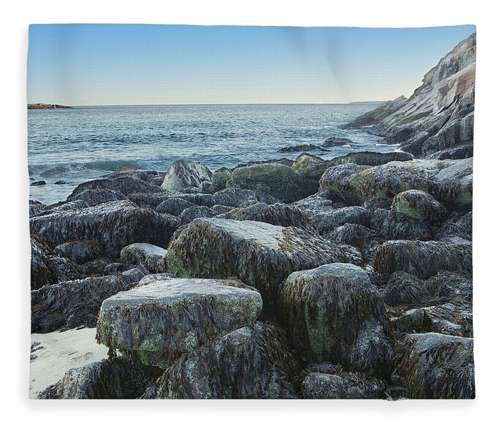 Seaweed Fleece Blanket featuring the photograph Seaweed On Rocks At The Waters Edge by Susan Dykstra / Design Pics