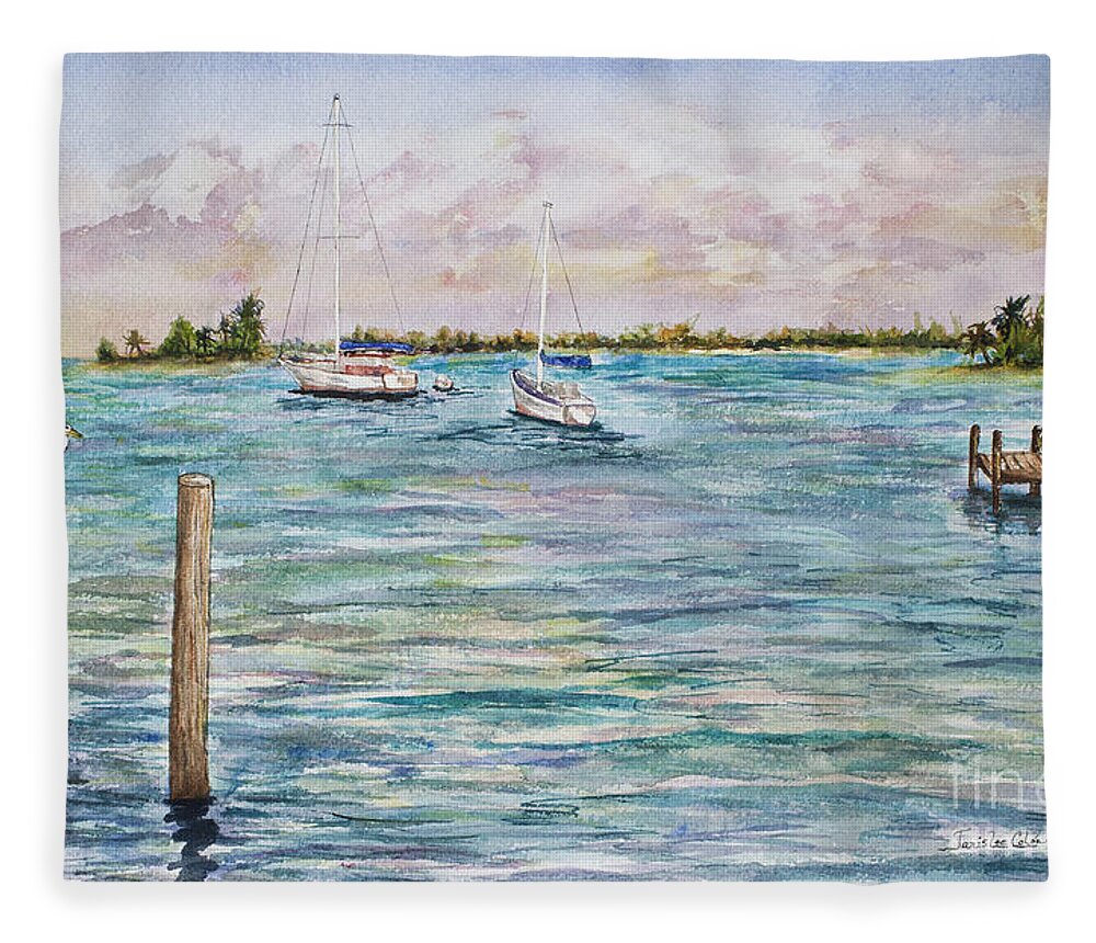 Ocean Fleece Blanket featuring the painting Sebastian Marina by Janis Lee Colon