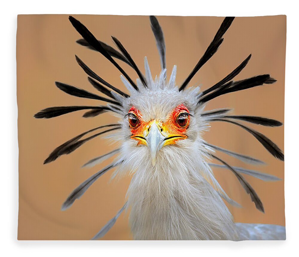 Bird Fleece Blanket featuring the photograph Secretary bird portrait close-up head shot by Johan Swanepoel