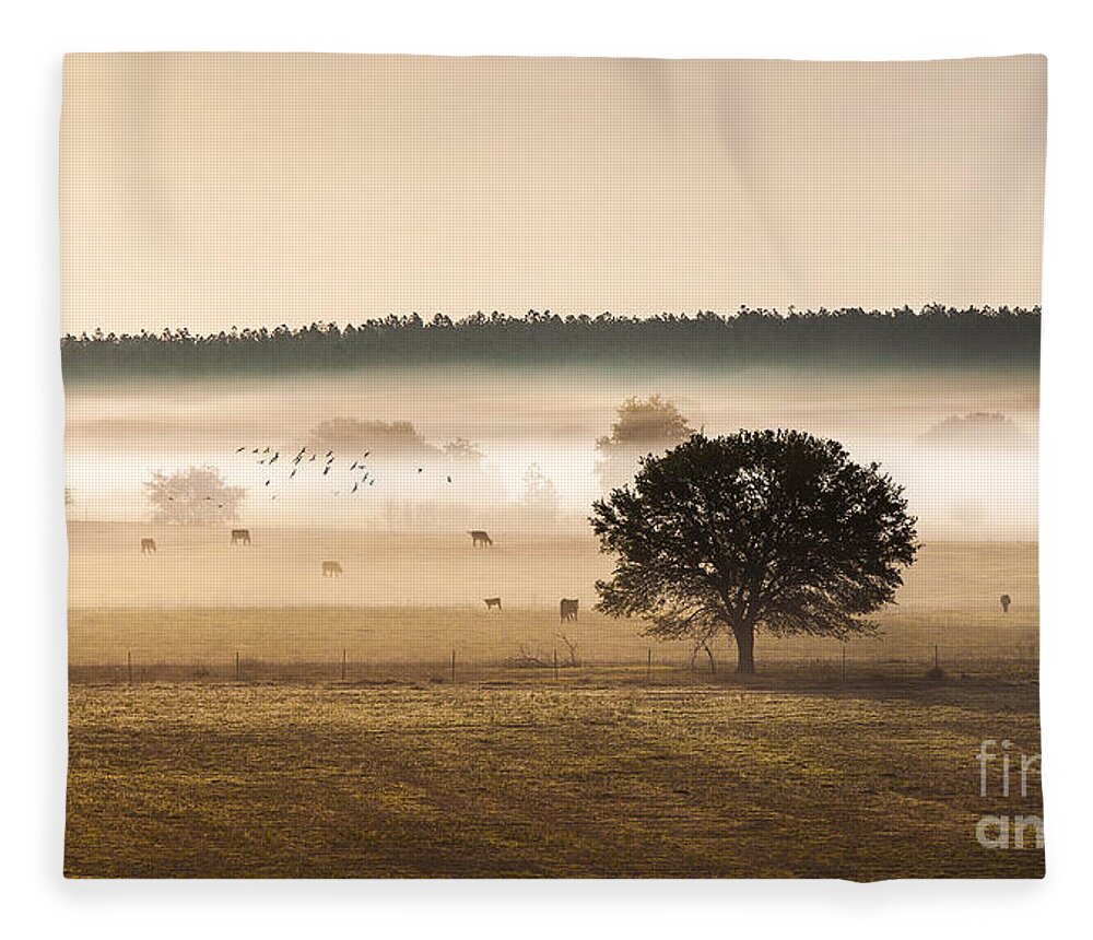 Animal Fleece Blanket featuring the photograph Sepia Landscape from 500 feet by Jo Ann Tomaselli