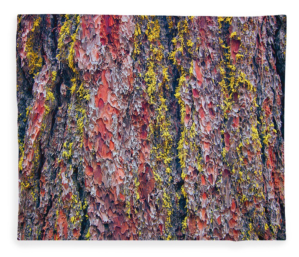 Giant Sequoia Fleece Blanket featuring the photograph Giant Sequoia Tree Closeup Abstract - Sequoia National Park California by Ram Vasudev