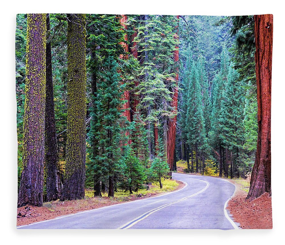 Fiorest Fleece Blanket featuring the photograph Sequoia Hwy by Beth Sargent