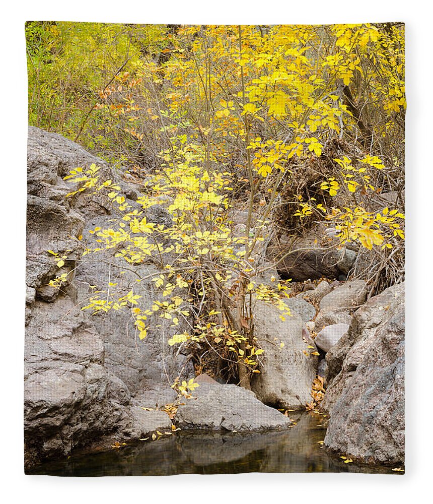 Trees Fleece Blanket featuring the photograph Shades of Yellow by Tamara Becker