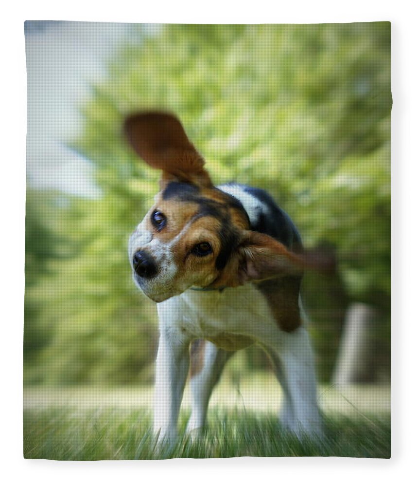 Beagle Fleece Blanket featuring the photograph Shake Shake Shake by Cricket Hackmann