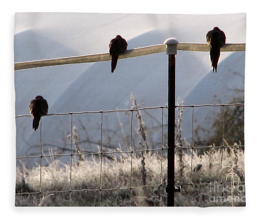 Bird Fleece Blanket featuring the photograph Sharing The Morning News by Rory Siegel