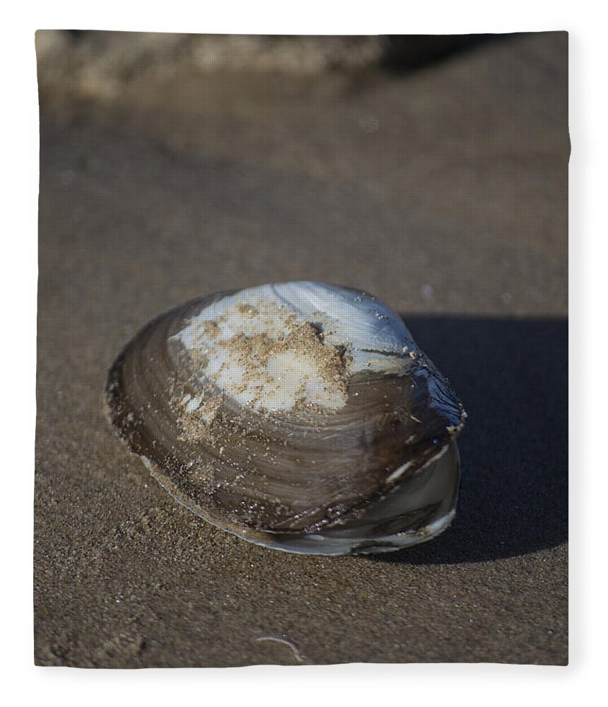 Sea Shell Fleece Blanket featuring the photograph Shell or someone's dinner by Spikey Mouse Photography