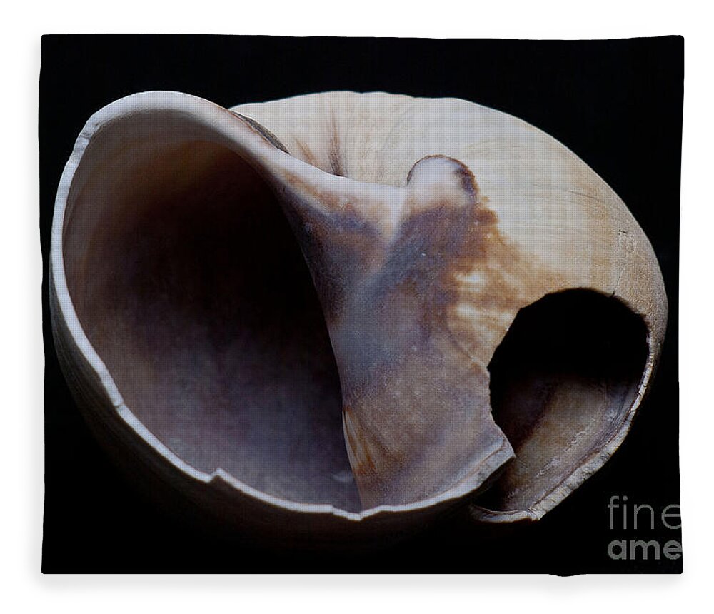 Sea Shell Fleece Blanket featuring the photograph Shell by Ron Roberts