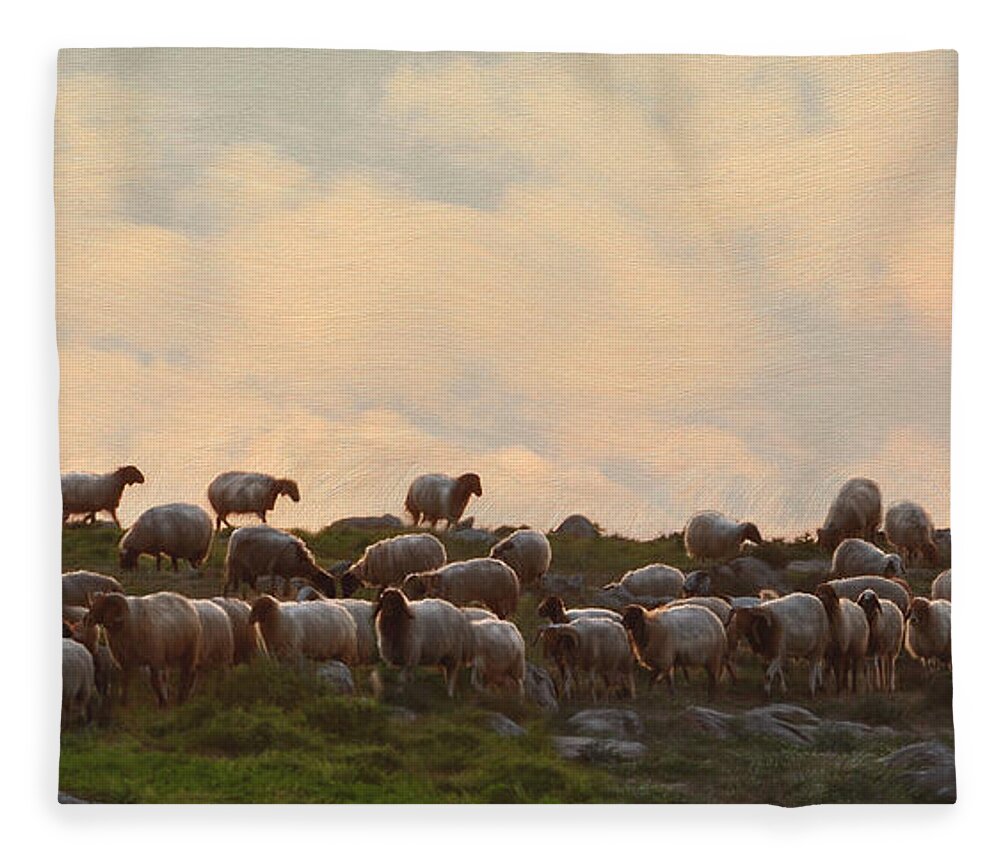Sheep Art Fleece Blanket featuring the painting Shepherd With Sheep by Constance Woods