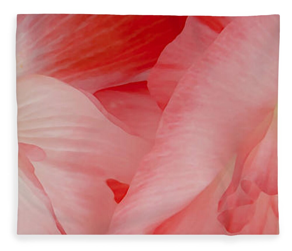 Poppies Fleece Blanket featuring the photograph Shirley Poppies by Theresa Tahara