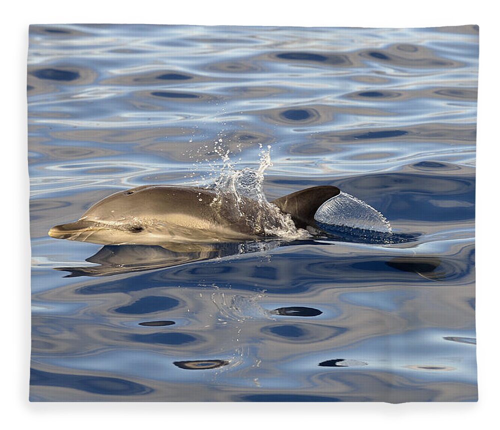 Flpa Fleece Blanket featuring the photograph Short-beaked Common Dolphins Azores by Malcolm Schuyl