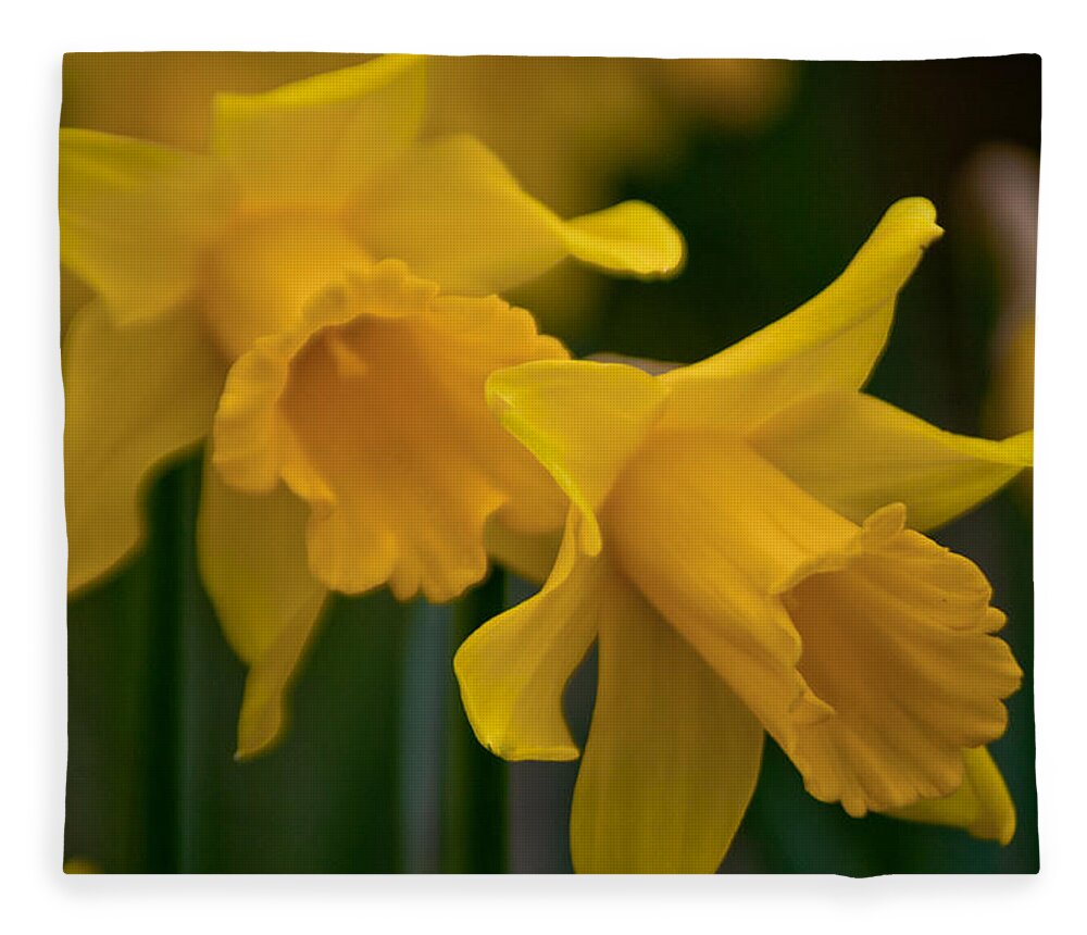 Daffodils Fleece Blanket featuring the photograph Shout Out of Spring by Tikvah's Hope