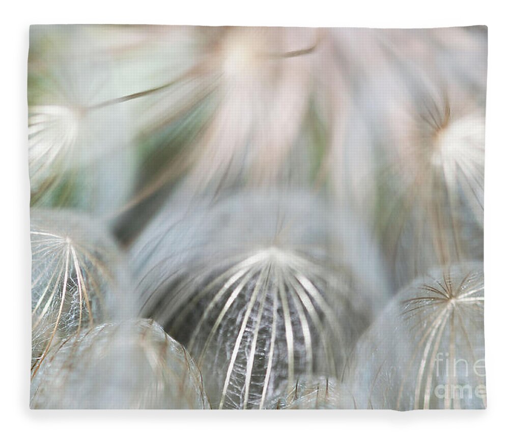 Wildflowers Fleece Blanket featuring the photograph Silver Fire by Gwen Gibson