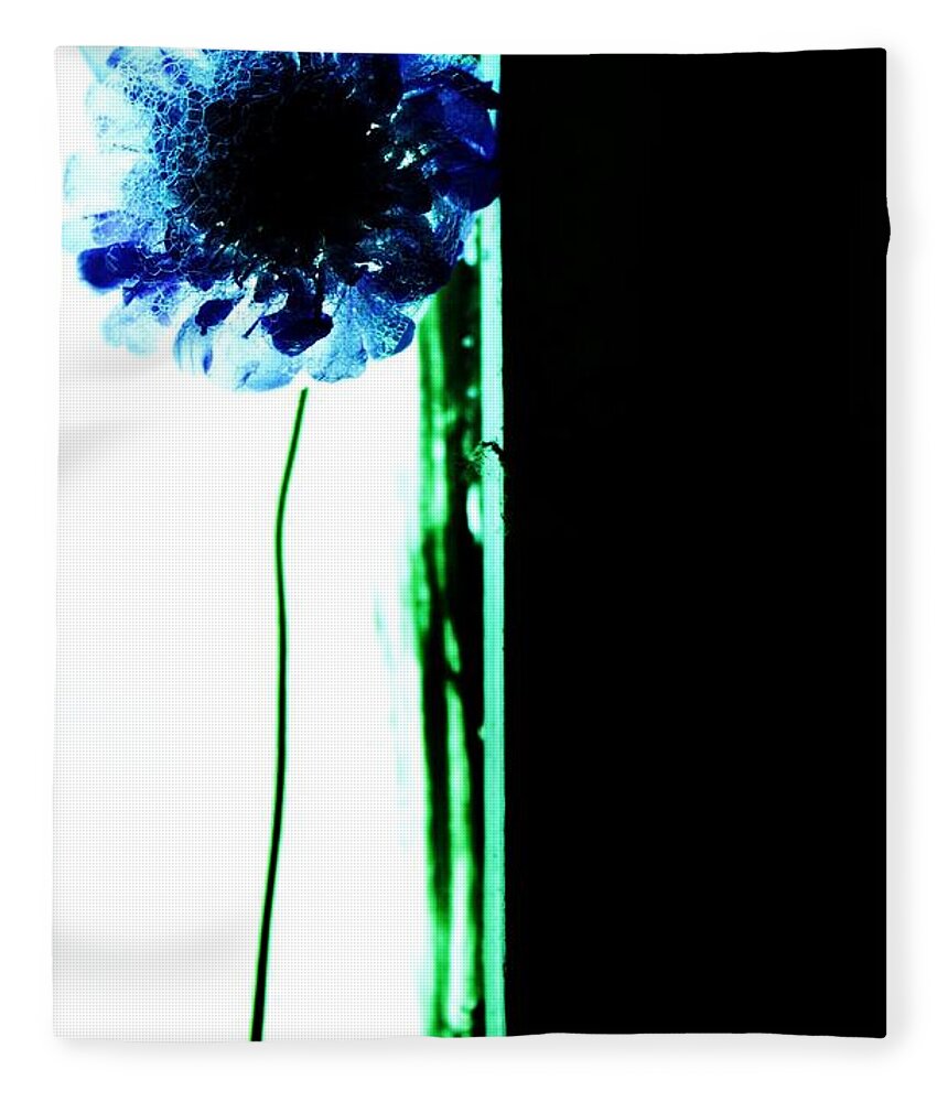 Flowers Blue Windows Still Life Plants Green Fleece Blanket featuring the photograph Simply by Jessica S