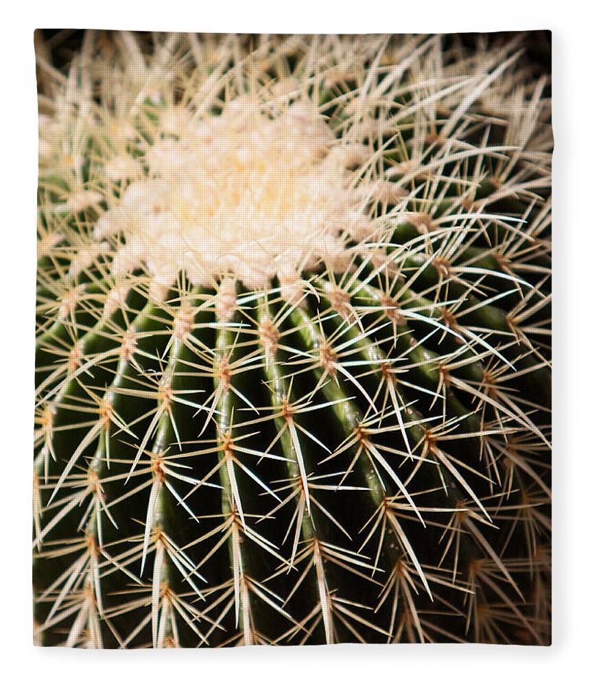 Botanical Fleece Blanket featuring the photograph Single Cactus Ball by John Wadleigh