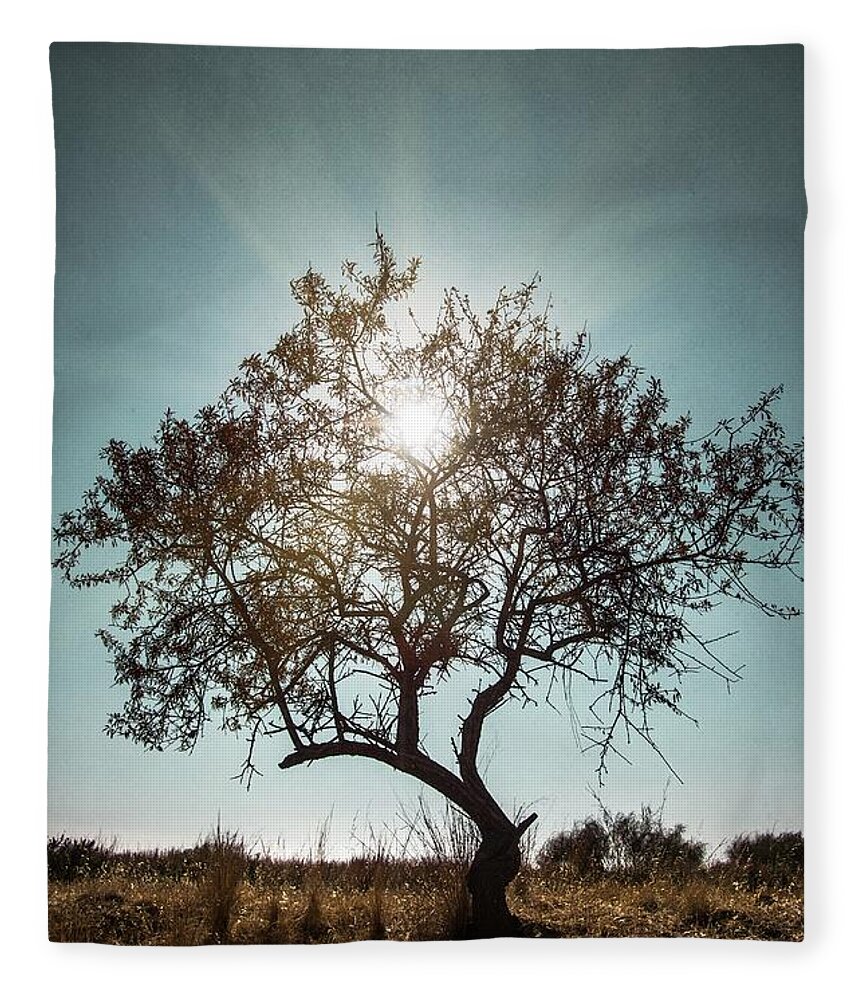 Dark Fleece Blanket featuring the photograph Single Tree by Carlos Caetano