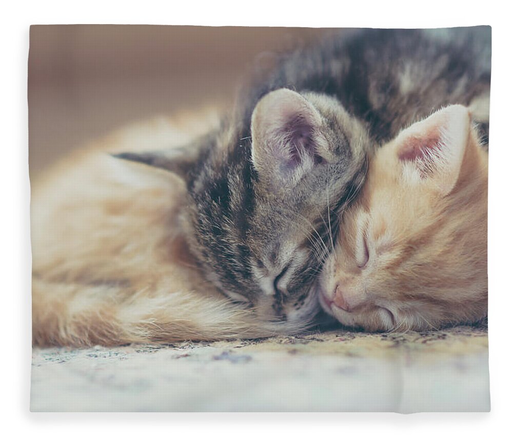 Pets Fleece Blanket featuring the photograph Sleeping Kittens by Harpazo hope