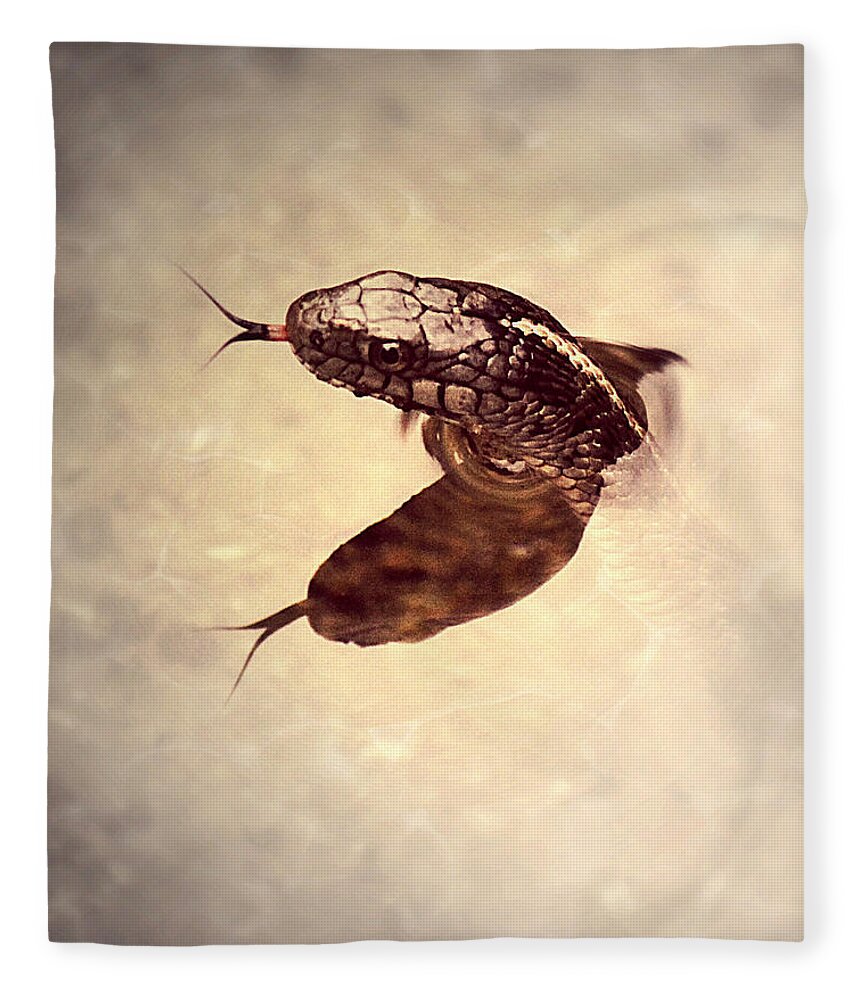 Snake Fleece Blanket featuring the photograph Slithering Reflections by Melanie Lankford Photography