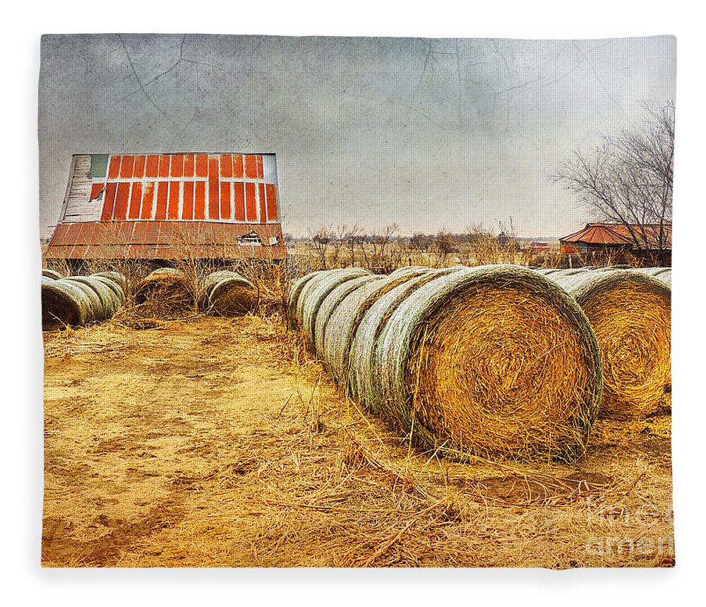 Barn Fleece Blanket featuring the photograph Slumbering in the Countryside by Betty LaRue