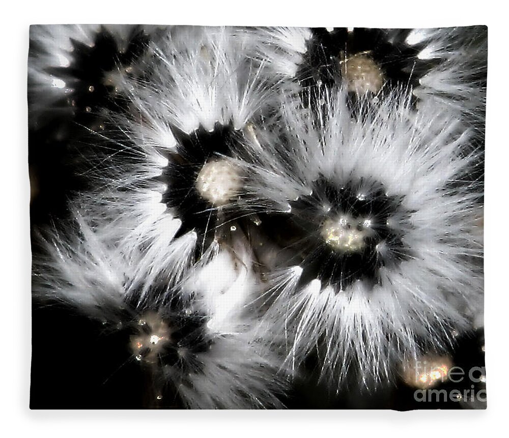 Dandelion Fleece Blanket featuring the photograph Small Worlds by Rory Siegel