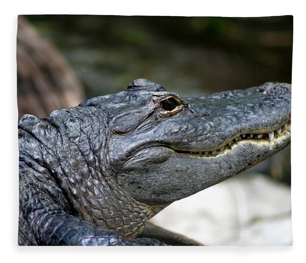 Alligator Fleece Blanket featuring the photograph Smiling Alligator by Valerie Collins