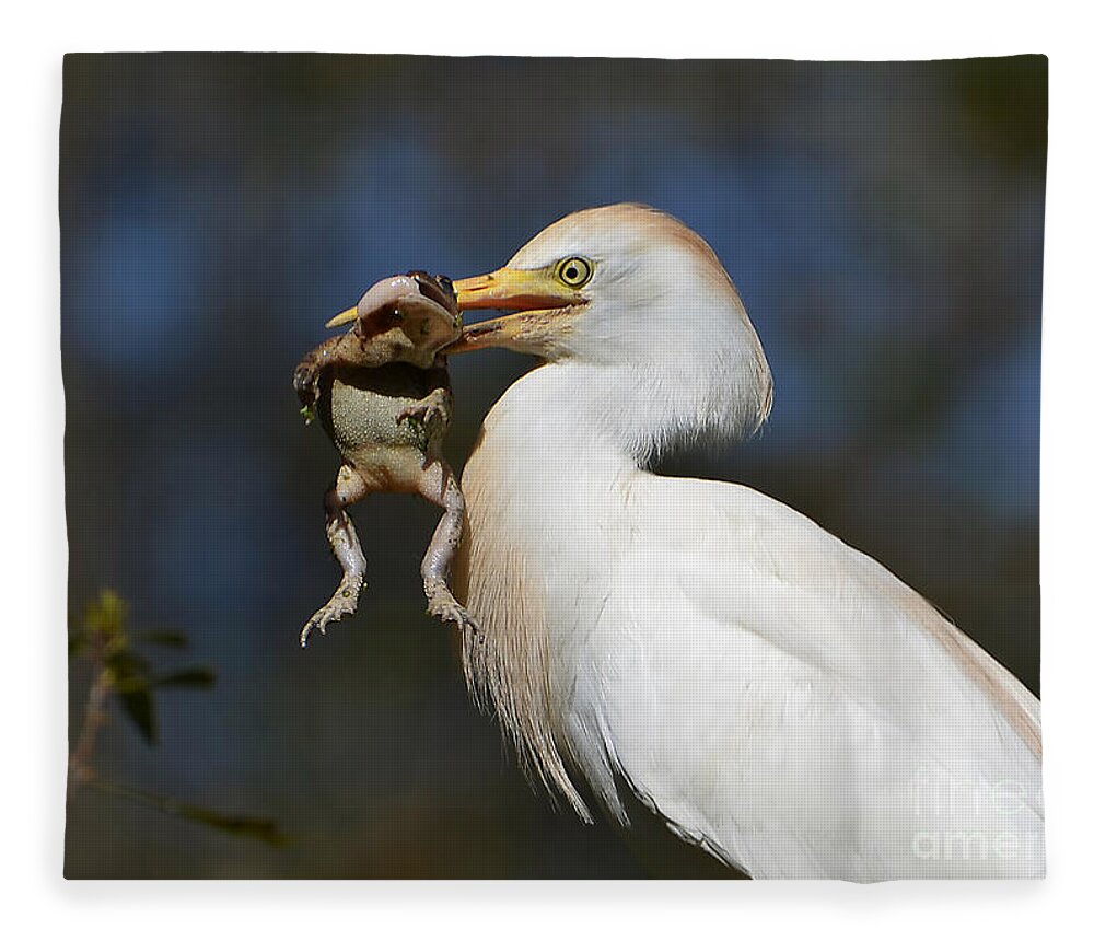 Egret Fleece Blanket featuring the photograph Snagged by Kathy Baccari