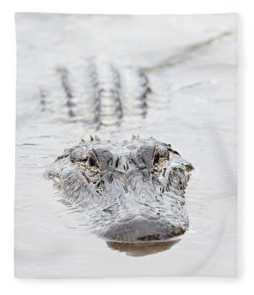 Alligator Fleece Blanket featuring the photograph Sneaky Swamp Gator by Carol Groenen