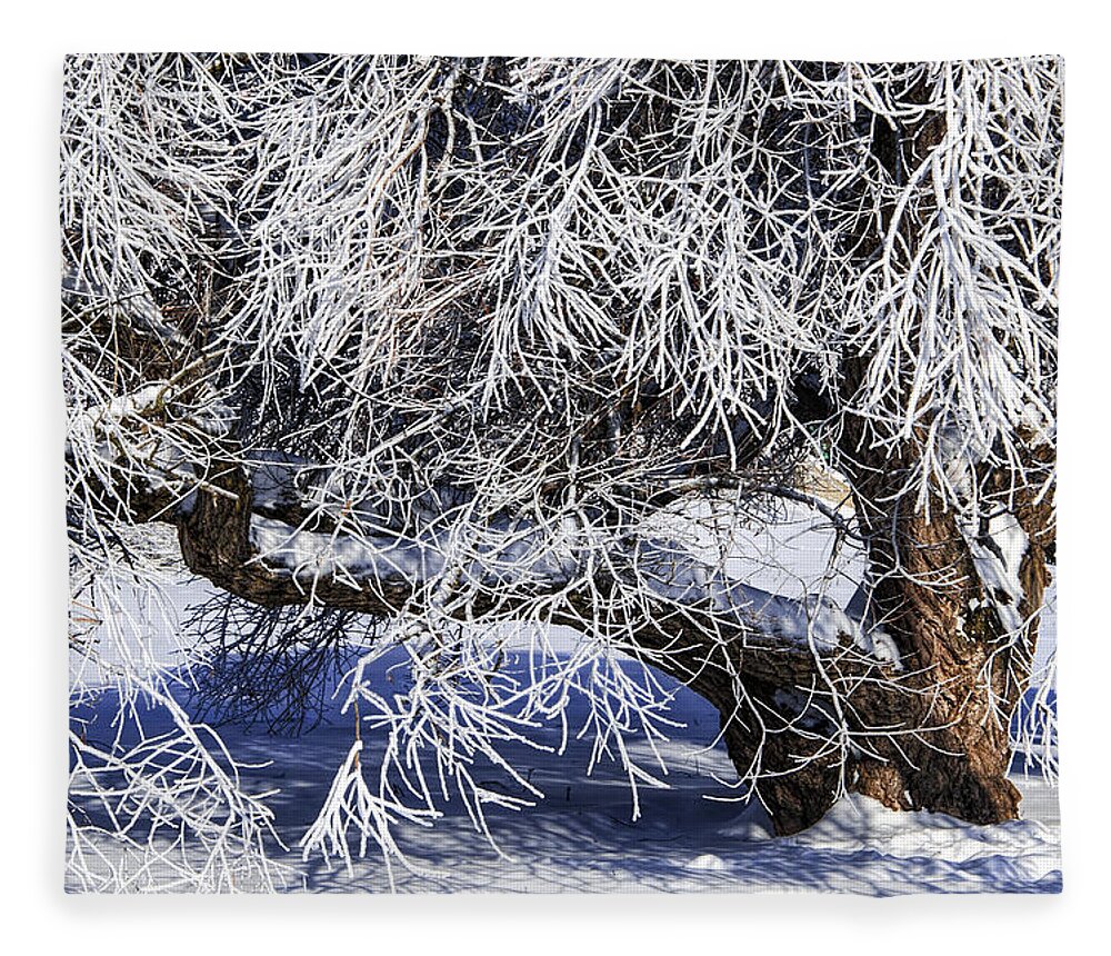 Winter Fleece Blanket featuring the photograph Snow and Ice covered Tree by Randall Nyhof