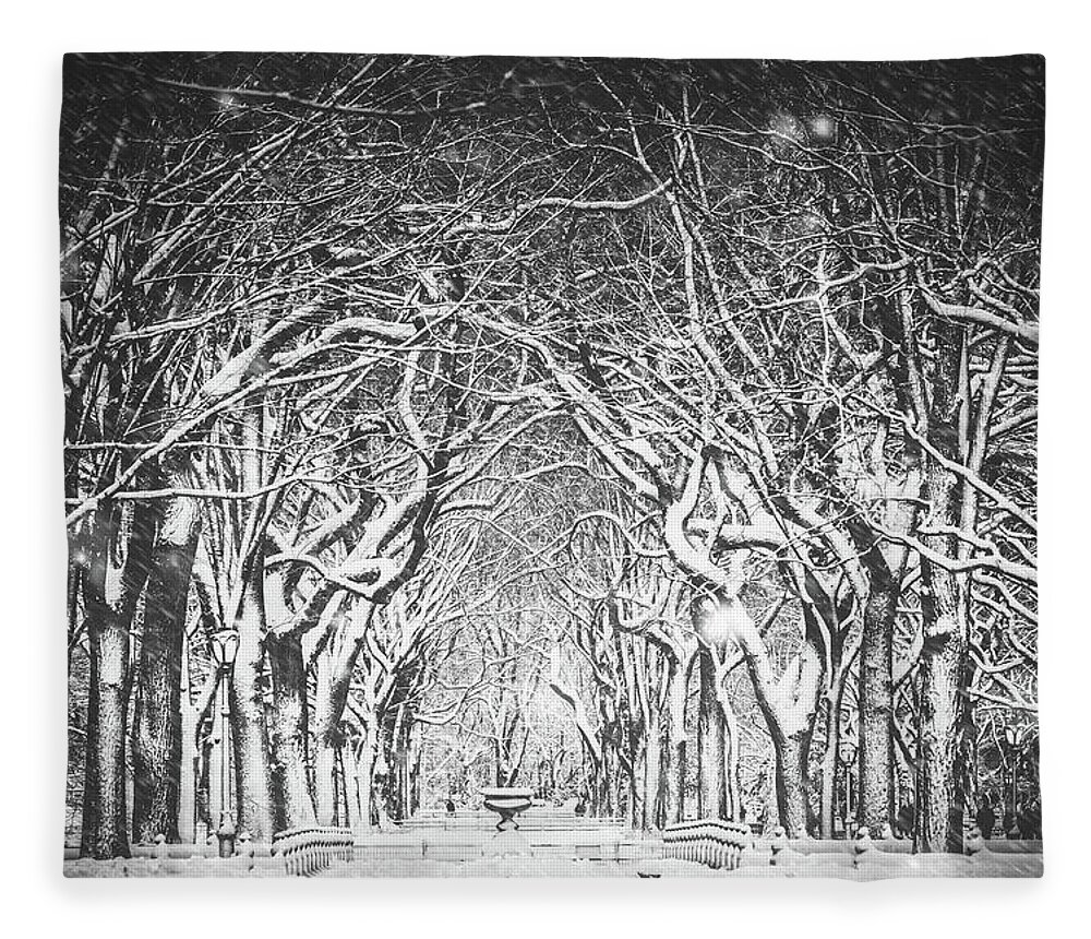 The Mall Fleece Blanket featuring the photograph Snow Blizzard New York by Ferrantraite