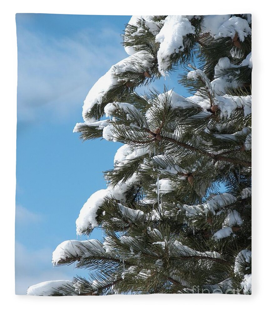 Snow Fleece Blanket featuring the photograph Snow-Clad Pine by Ann Horn