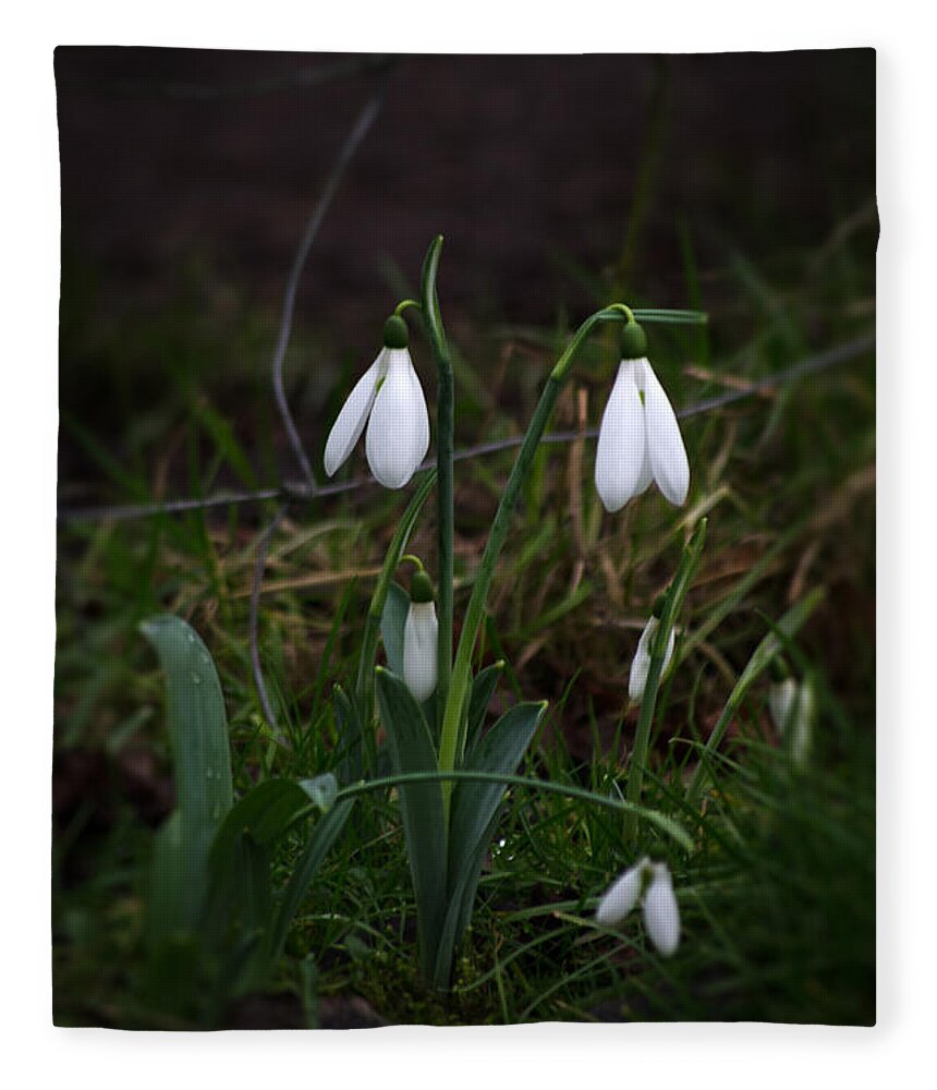 Nature Fleece Blanket featuring the photograph Snowdrops by Spikey Mouse Photography