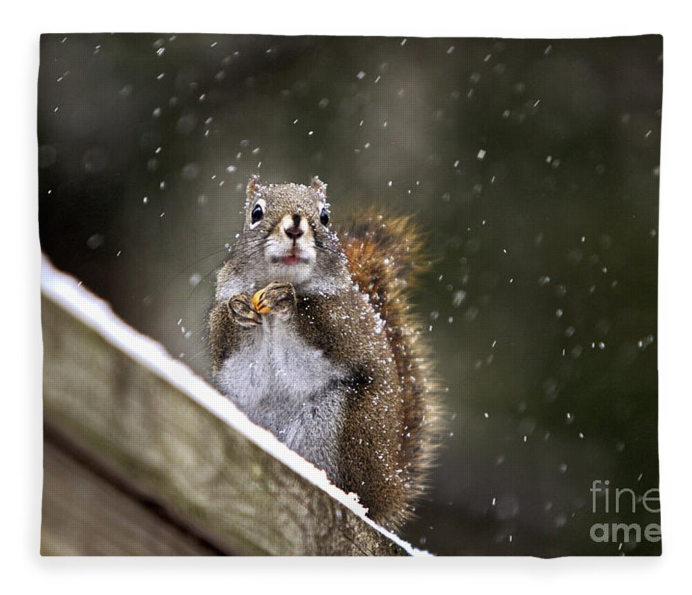 Maine Fleece Blanket featuring the photograph Snowflake Squirrel by Karin Pinkham