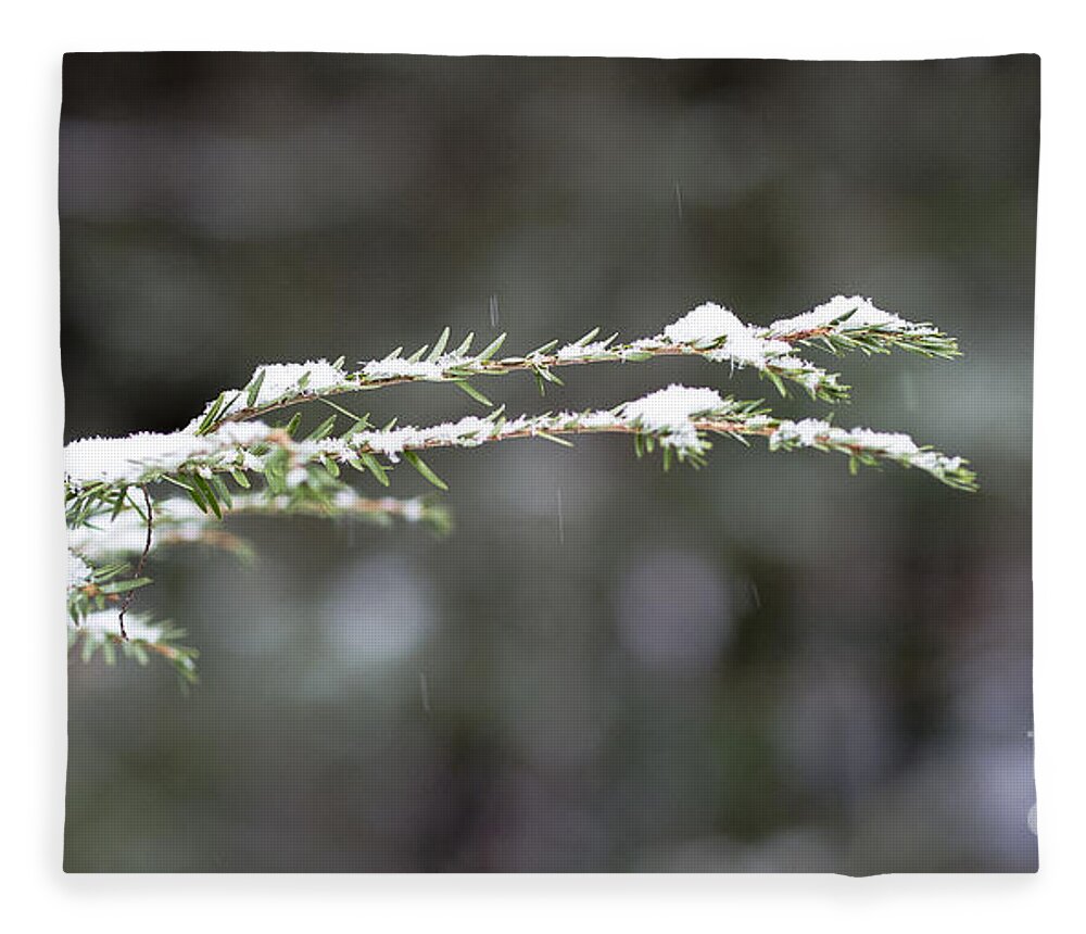Christmas Fleece Blanket featuring the photograph Snowy pine by Steven Ralser