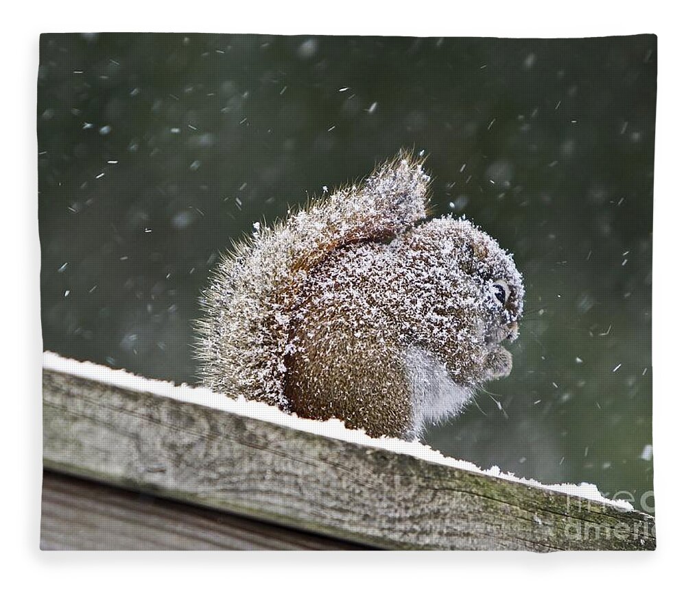 Maine Fleece Blanket featuring the photograph Snowy Squirrel by Karin Pinkham
