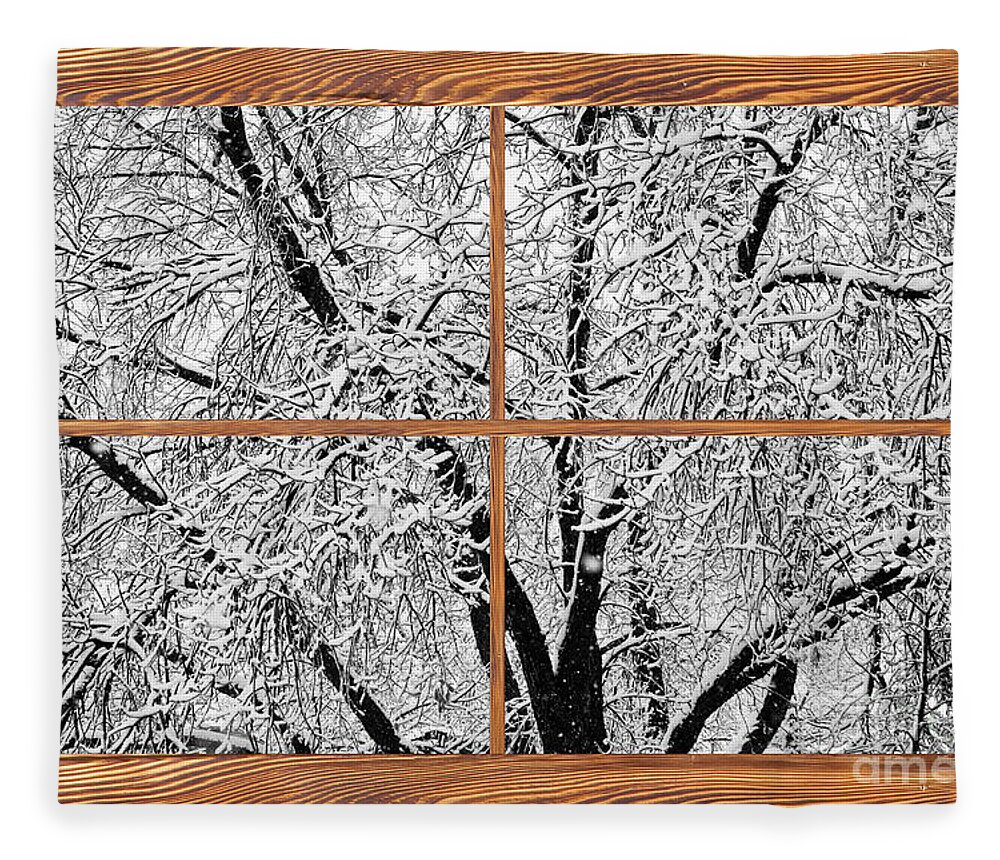 Windows Fleece Blanket featuring the photograph Snowy Tree Branches Barn Wood Picture Window Frame View by James BO Insogna