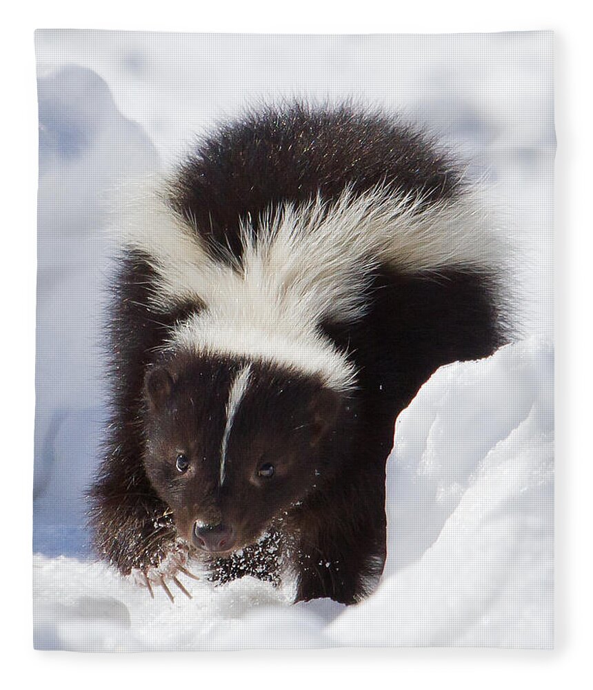 Skunk Fleece Blanket featuring the photograph Snowy Walk by Jan Killian